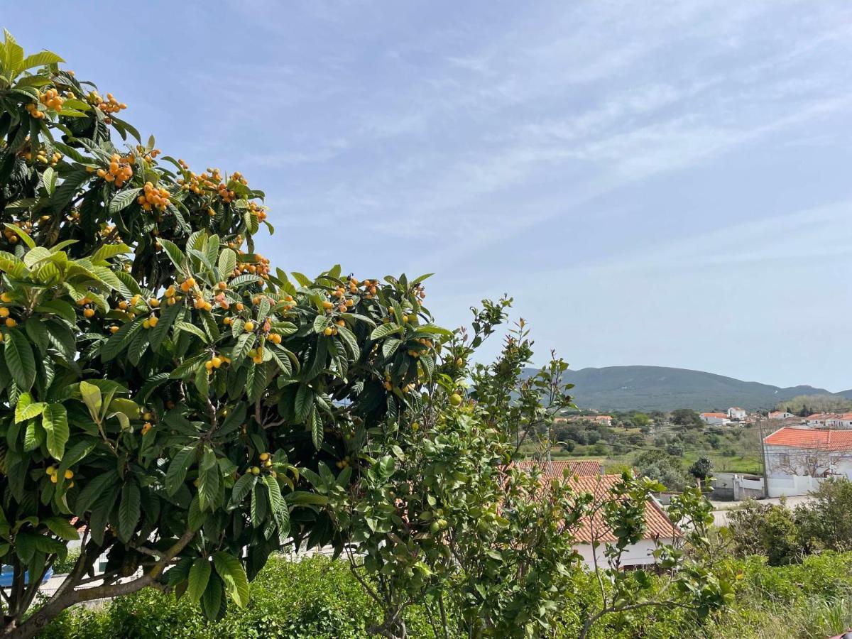 הוילה Pedreiras de Baixo Casa Lino מראה חיצוני תמונה