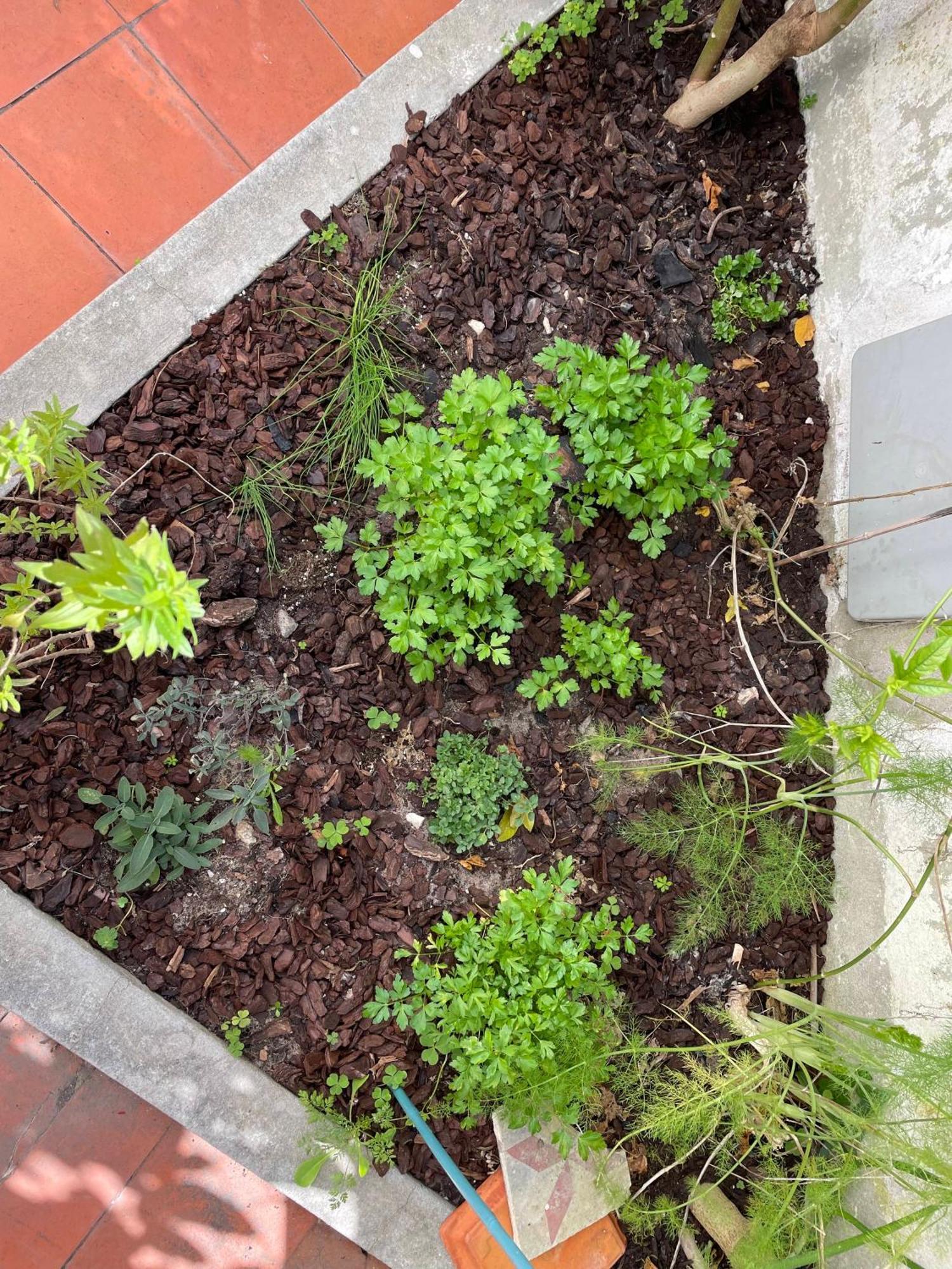הוילה Pedreiras de Baixo Casa Lino מראה חיצוני תמונה